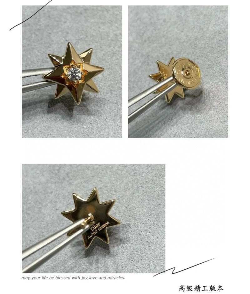 Christian Dior Earrings SportInspired 234155