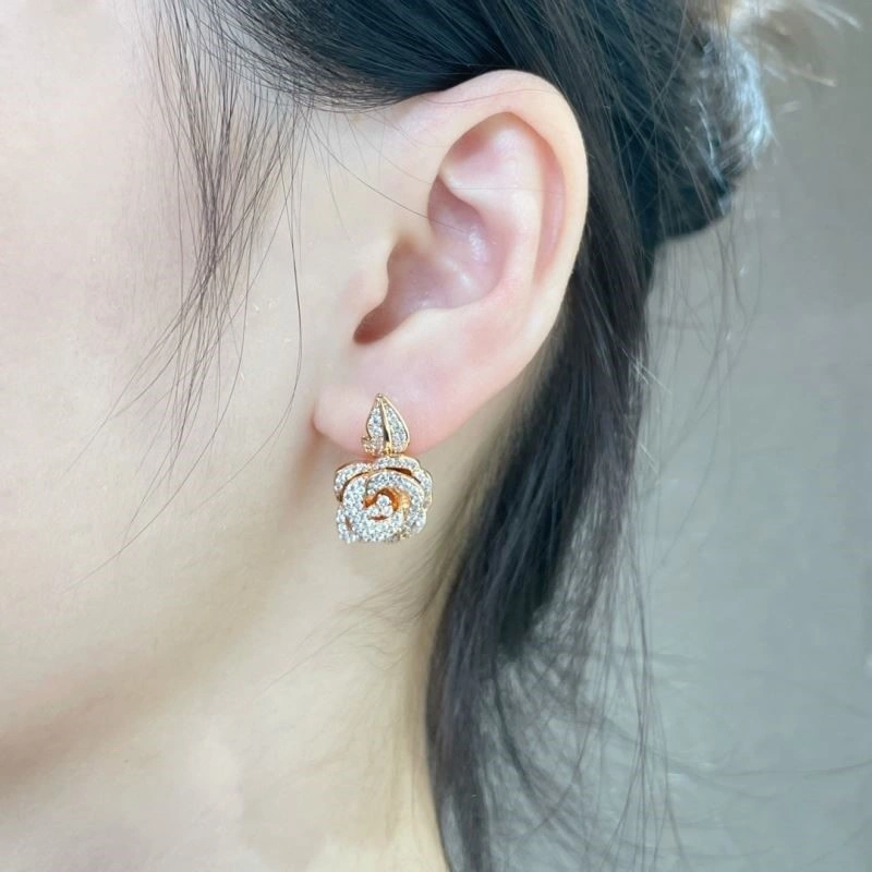 Christian Dior Earrings Functional 234154