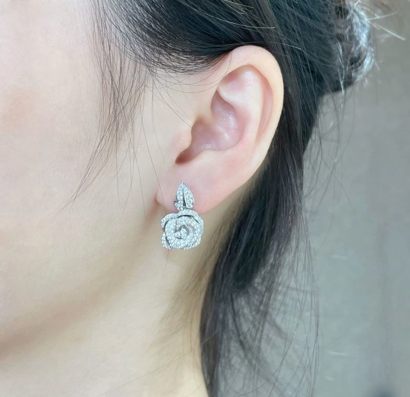 Christian Dior Earrings Functional 234154