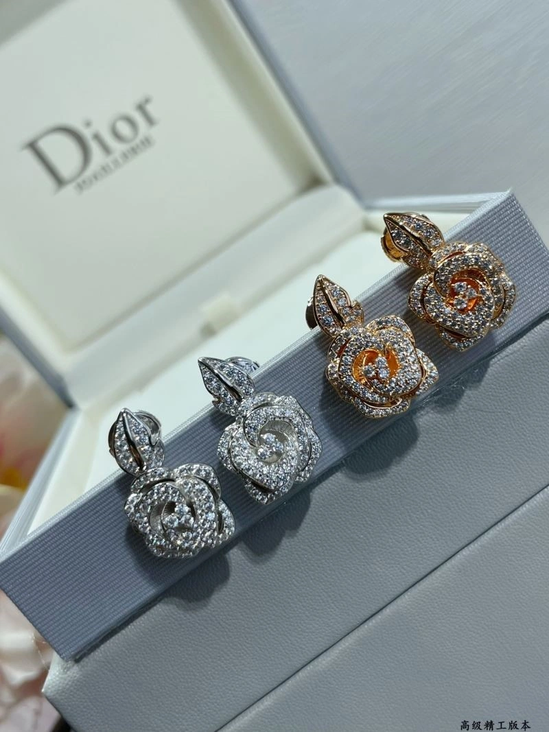 Christian Dior Earrings Functional 234154