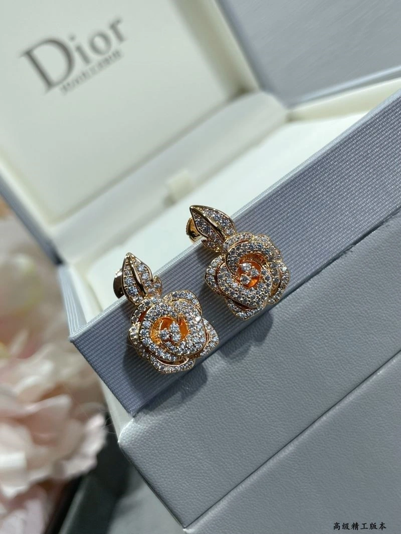 Christian Dior Earrings Functional 234154