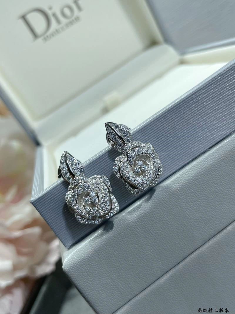 Christian Dior Earrings Functional 234154