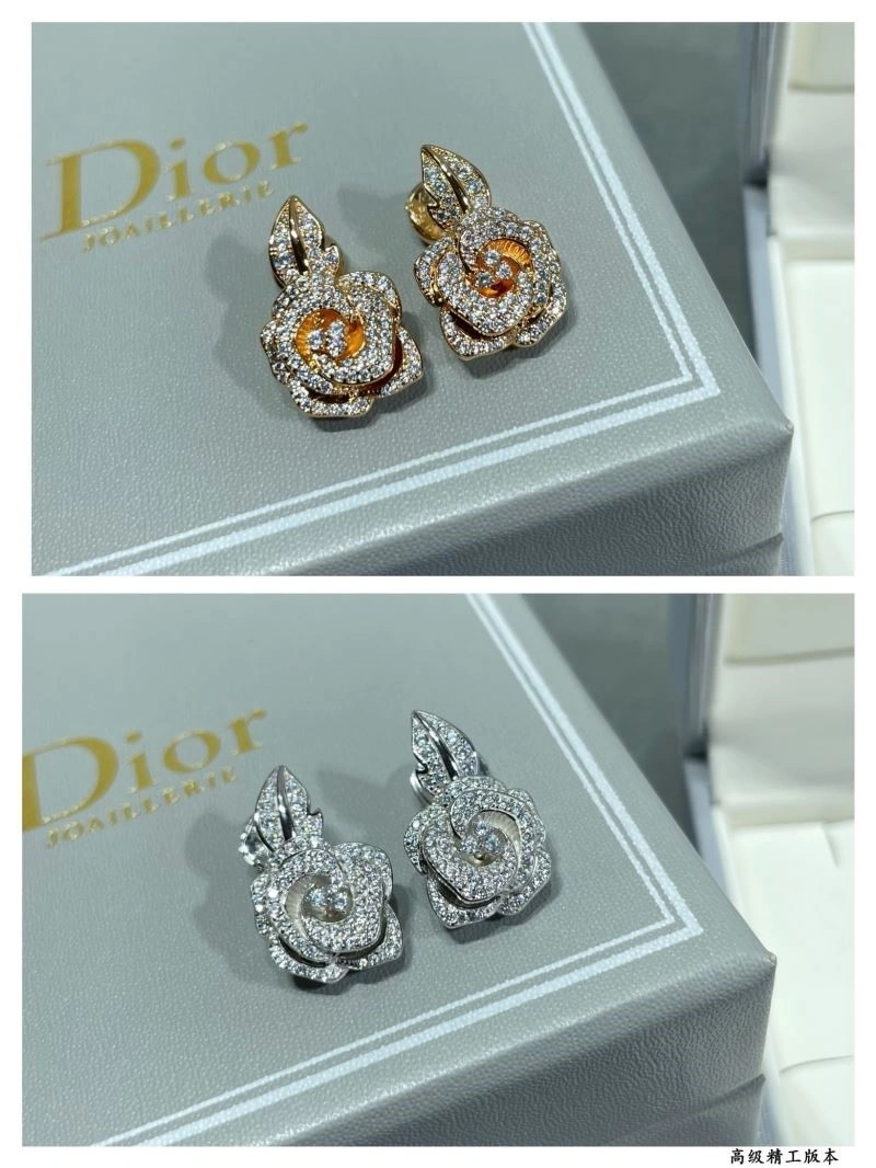 Christian Dior Earrings Functional 234154