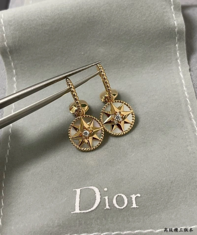 Elegant Christian Dior Earrings 234140