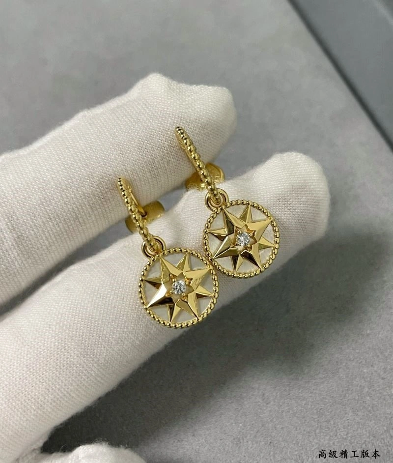 Elegant Christian Dior Earrings 234140