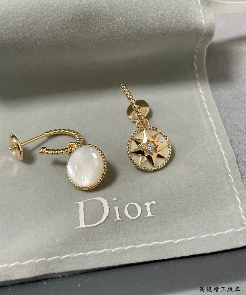 Elegant Christian Dior Earrings 234140
