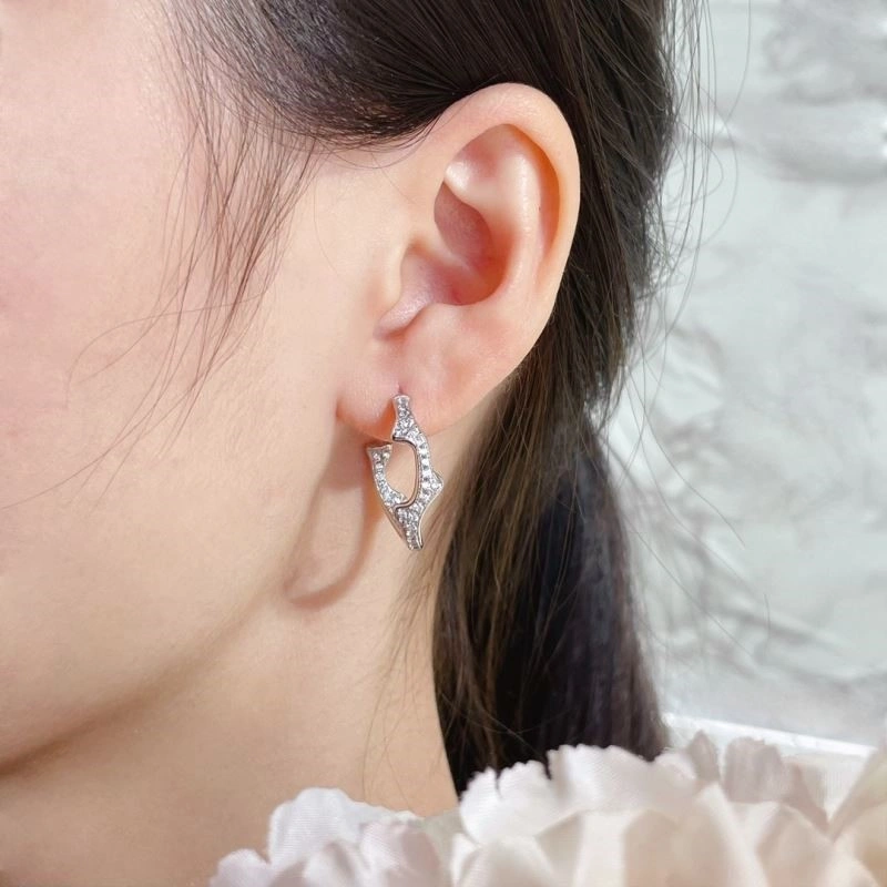 Christian Dior Earrings Neat 234145