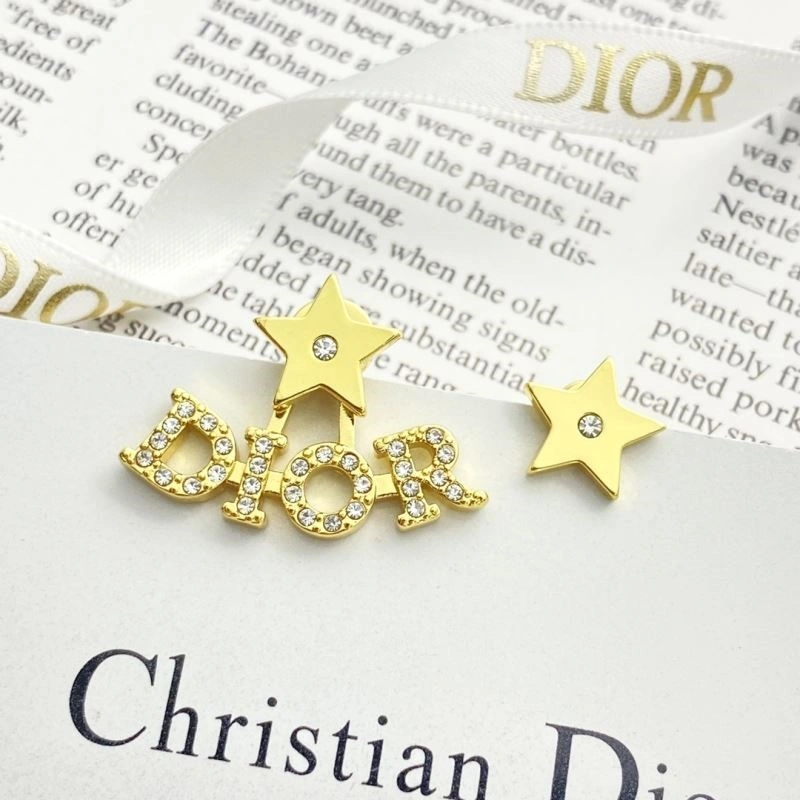 DailyWear Christian Dior Earrings 234143