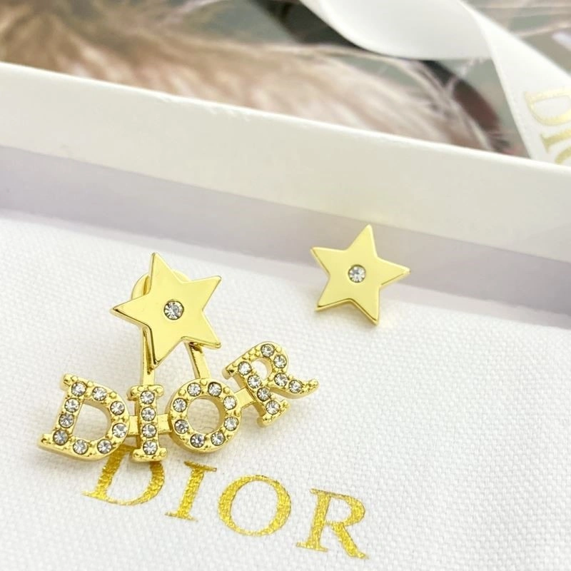 DailyWear Christian Dior Earrings 234143