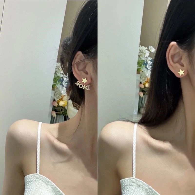 DailyWear Christian Dior Earrings 234143
