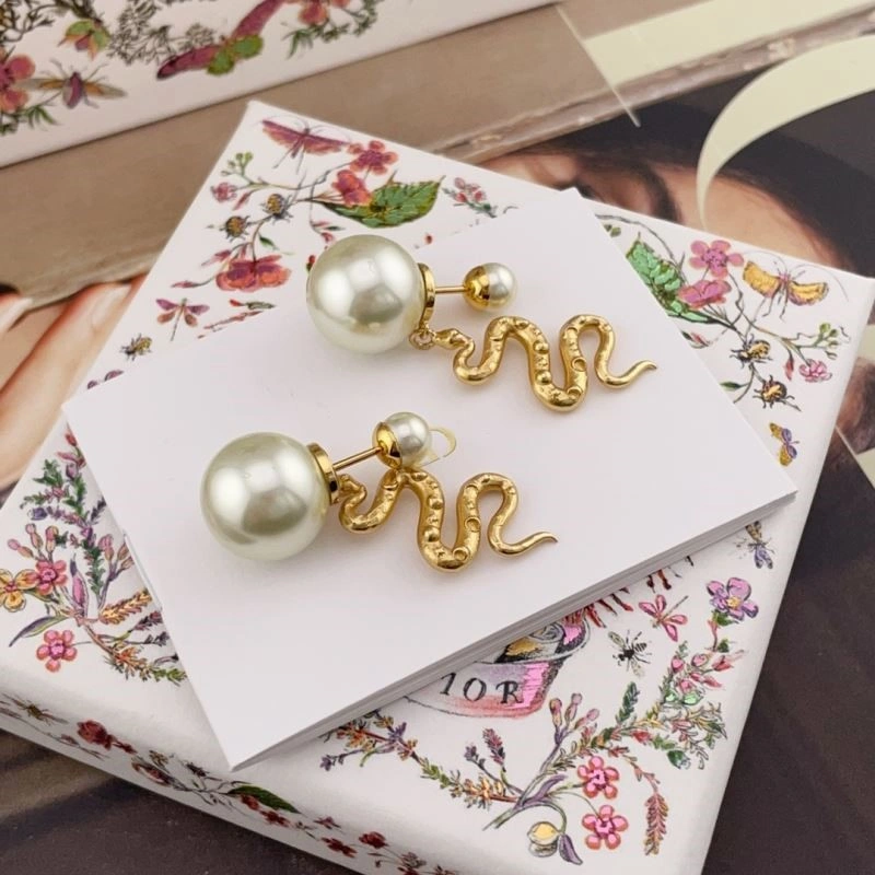 Christian Dior Earrings Unisex 234141