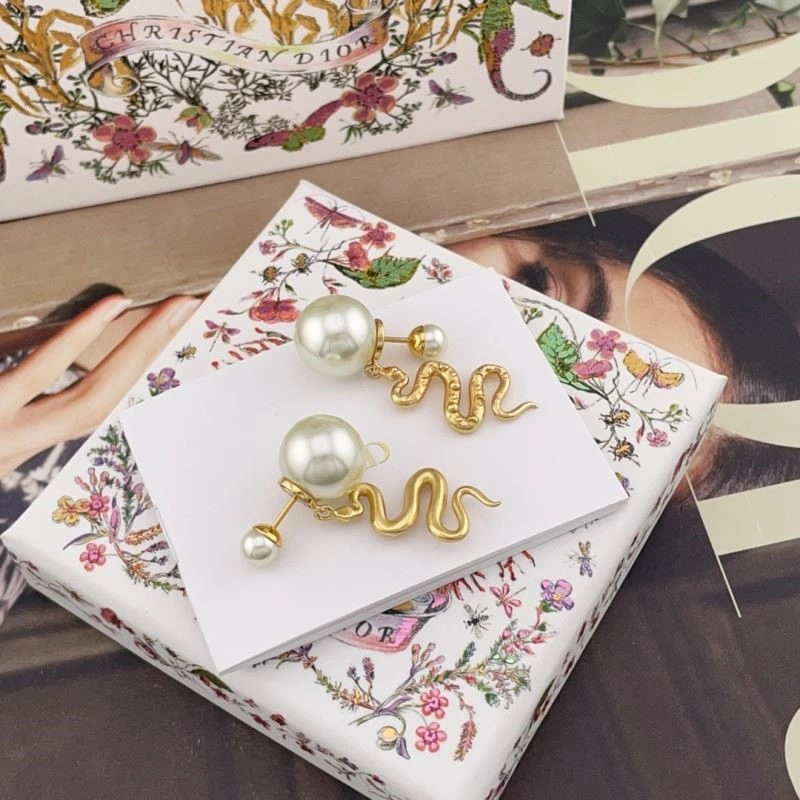 Christian Dior Earrings Unisex 234141