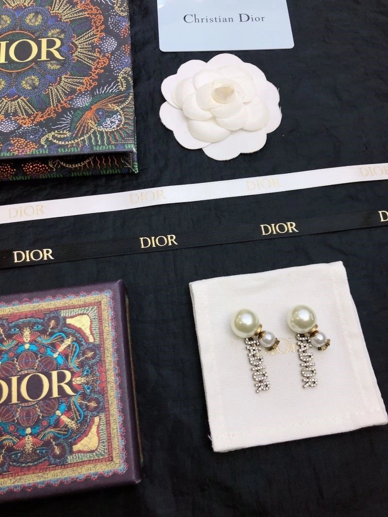 Christian Dior Earrings EyeCatching 234136