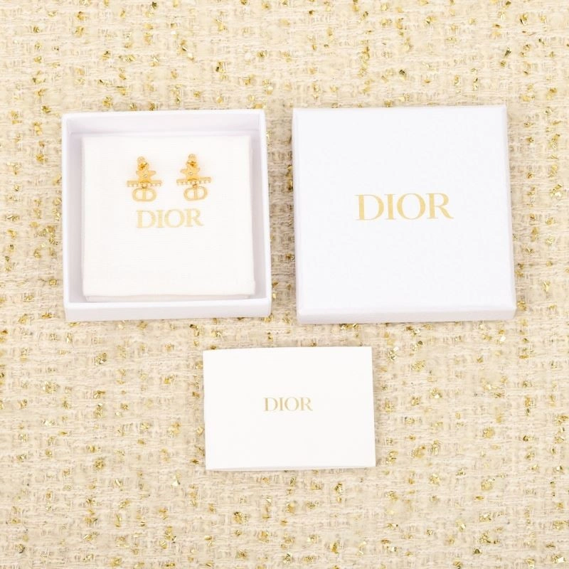 Christian Dior Earrings StreetReady 234121
