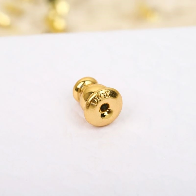 Christian Dior Earrings StreetReady 234121