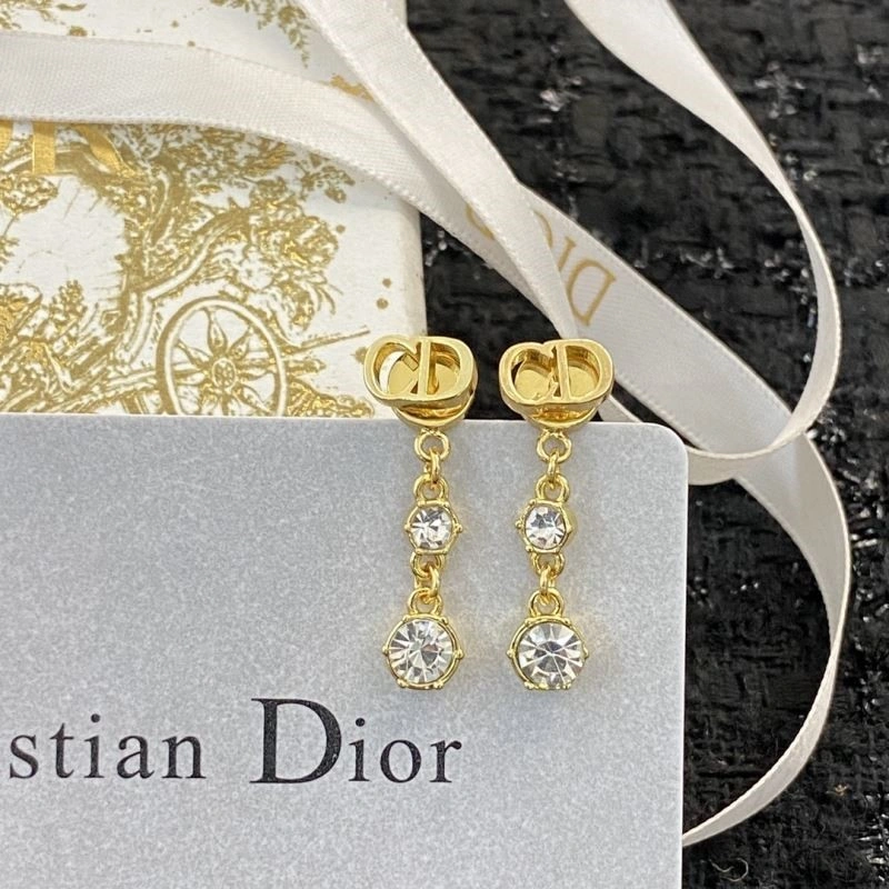 Christian Dior Earrings Flexible 234123