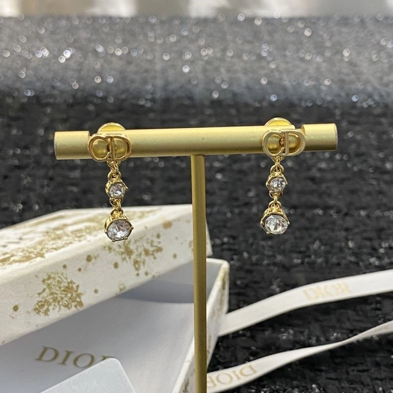 Christian Dior Earrings Flexible 234123