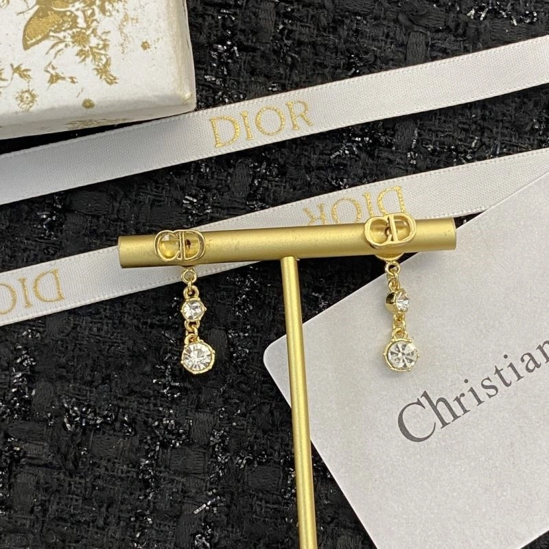 Christian Dior Earrings Flexible 234123