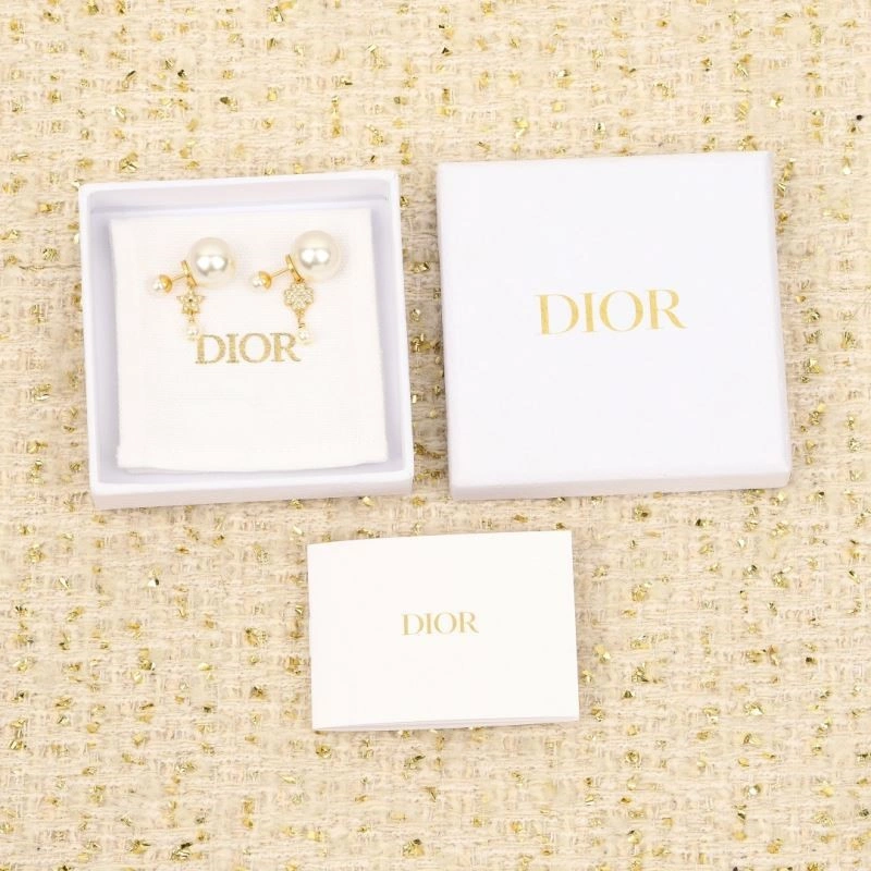 Christian Dior Earrings GoAnywhere 234119