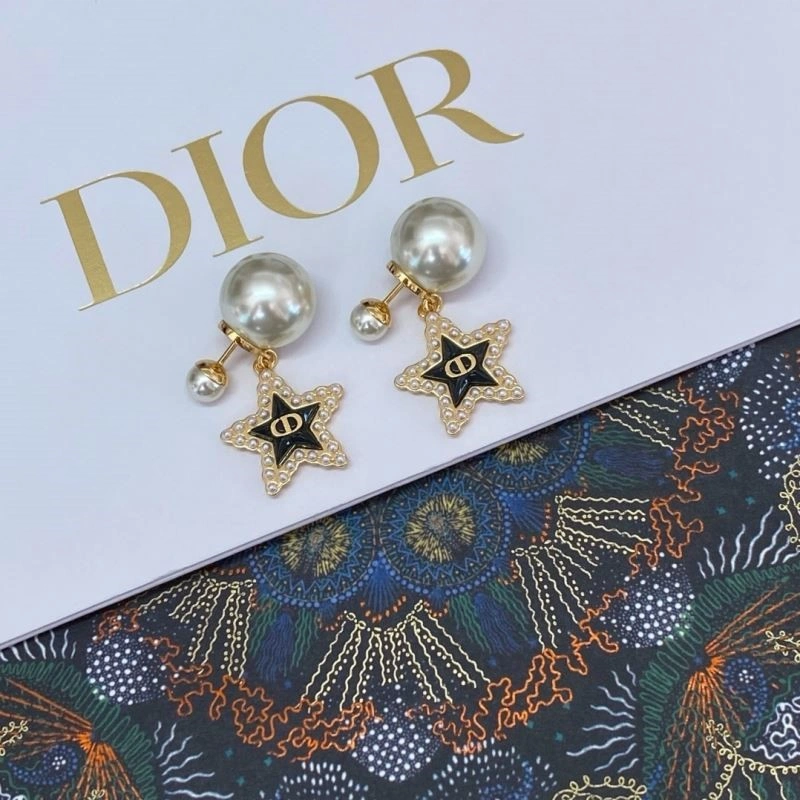 FastDry Christian Dior Earrings 234117