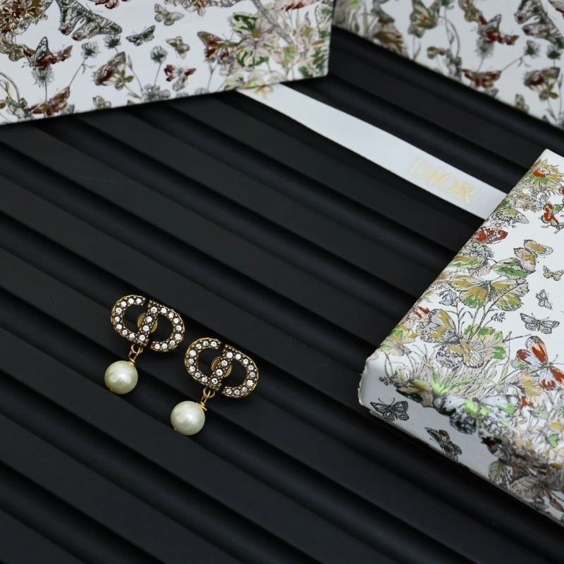 QuickDry Christian Dior Earrings 233939