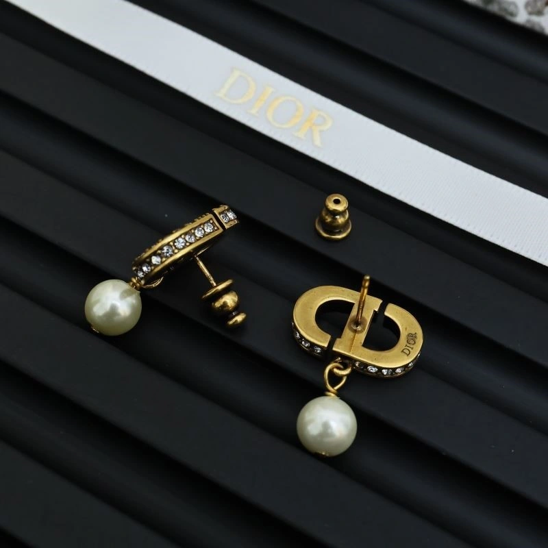 QuickDry Christian Dior Earrings 233939