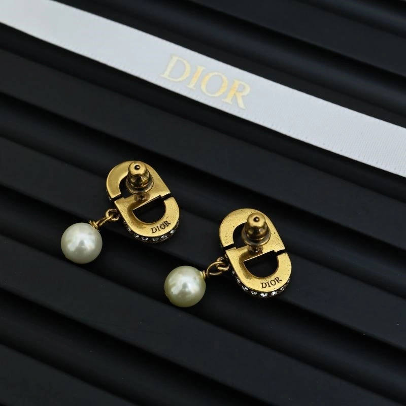 QuickDry Christian Dior Earrings 233939