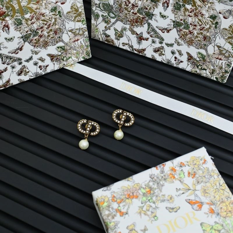 QuickDry Christian Dior Earrings 233939