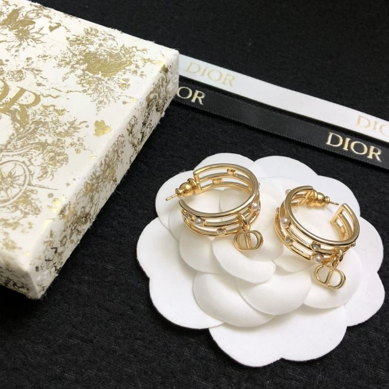 Reliable Christian Dior Earrings 233929