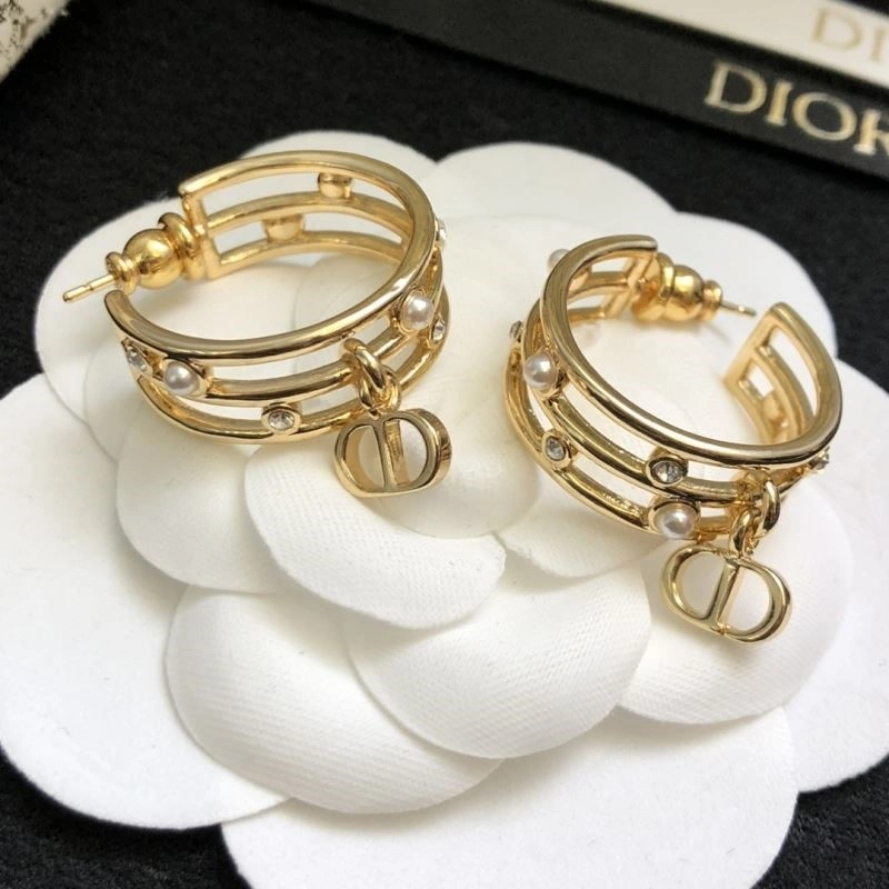 Reliable Christian Dior Earrings 233929