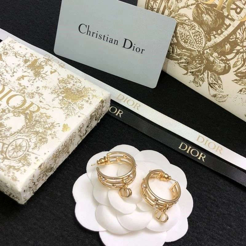 Reliable Christian Dior Earrings 233929