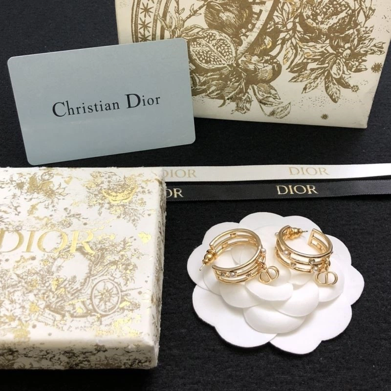 Reliable Christian Dior Earrings 233929