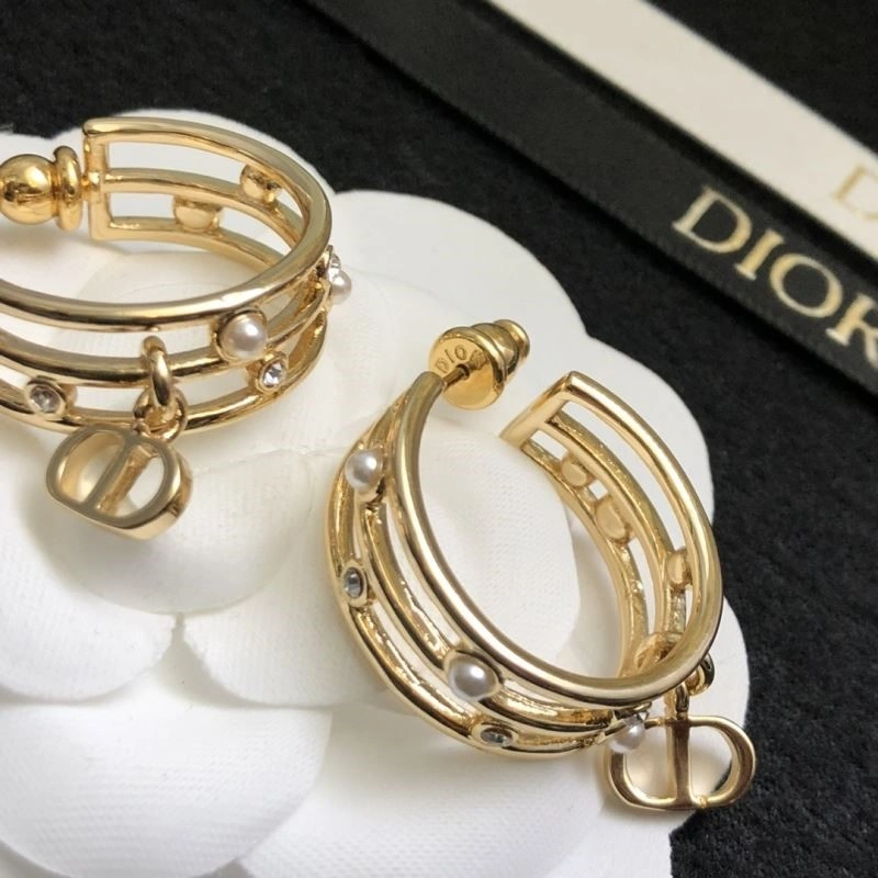 Reliable Christian Dior Earrings 233929