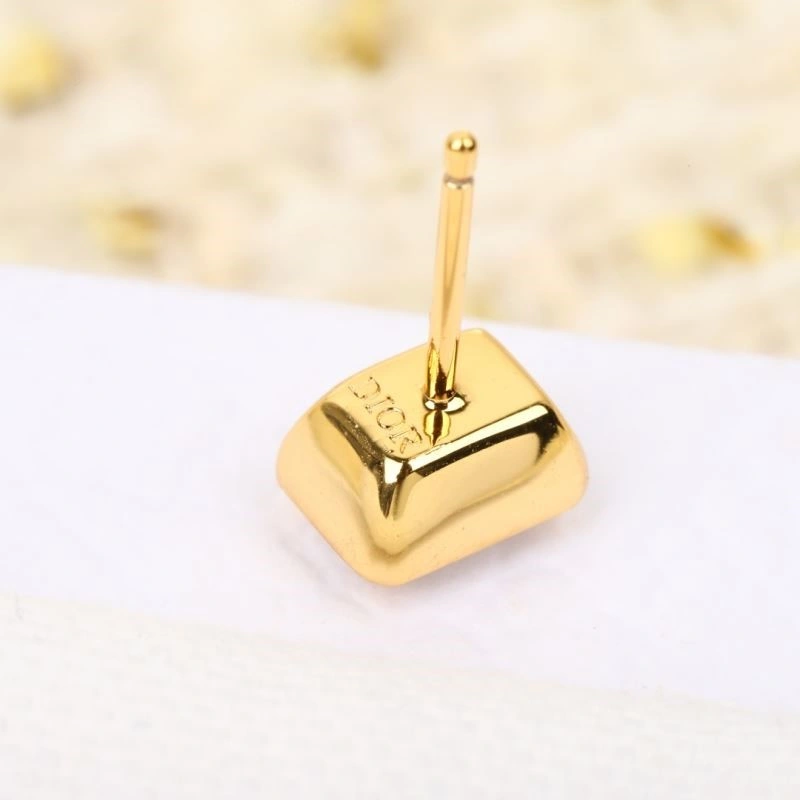 Cozy Christian Dior Earrings 233932