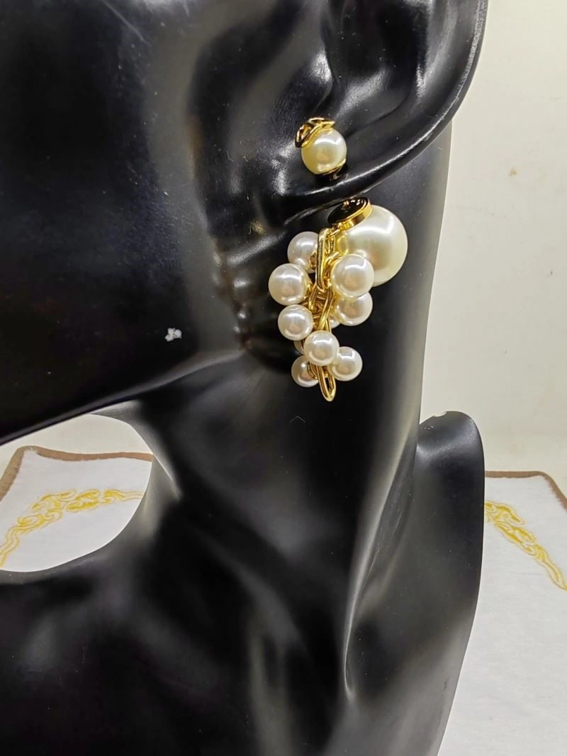 Christian Dior Earrings GoAnywhere 233902