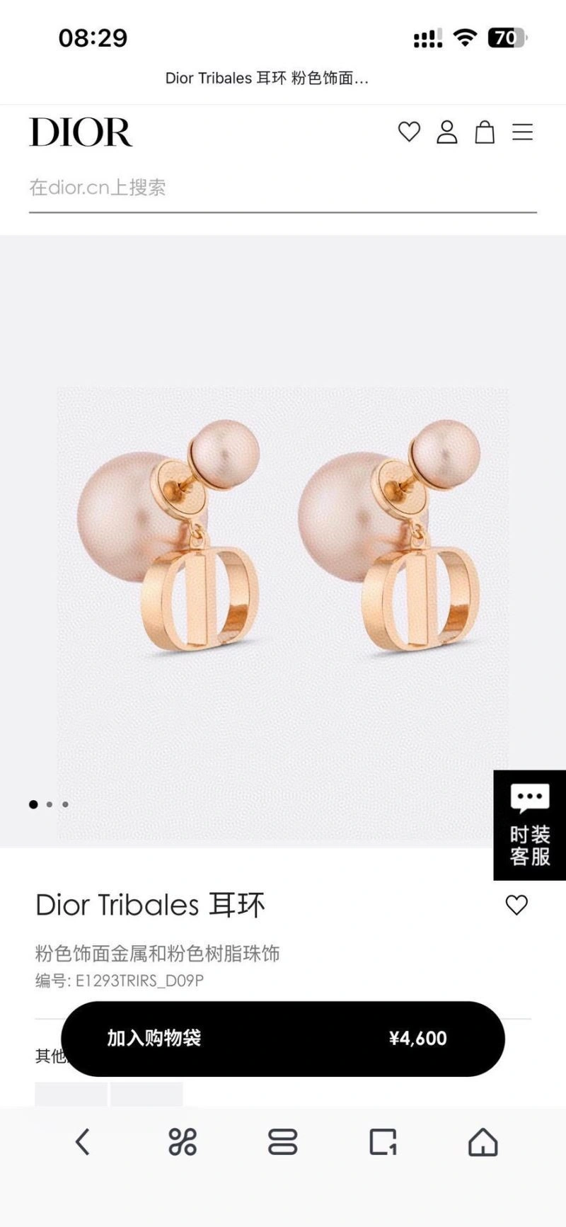 AllSeason Christian Dior Earrings 233907