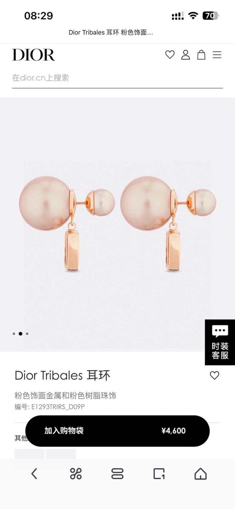 AllSeason Christian Dior Earrings 233907