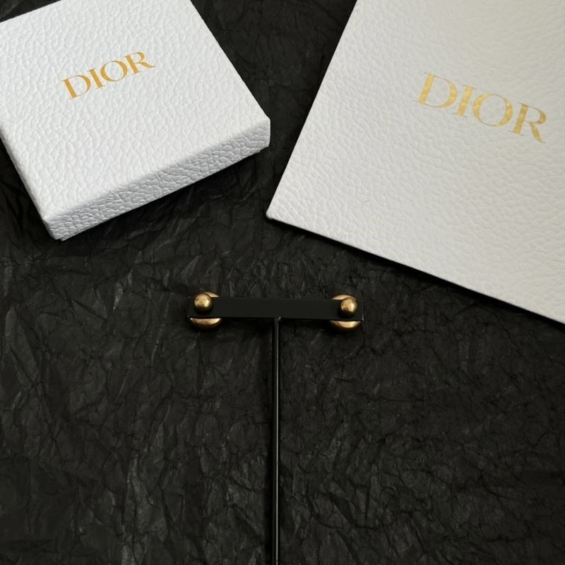 Christian Dior Earrings Colorful 233889