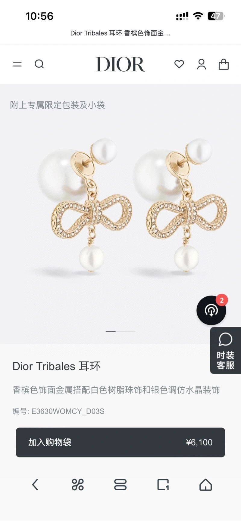 Colorful Christian Dior Earrings 233870
