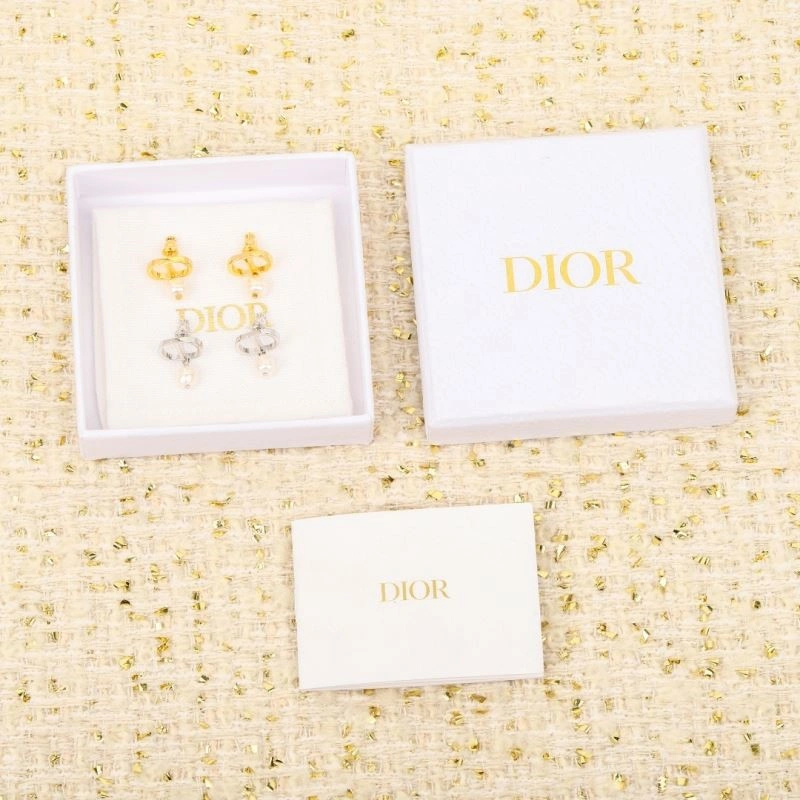 ZipUp Christian Dior Earrings 233874