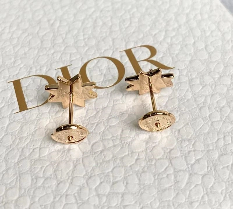 Christian Dior Earrings TopPick 233877