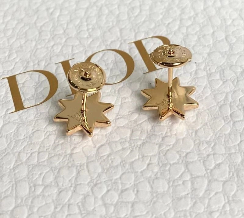 Christian Dior Earrings TopPick 233877
