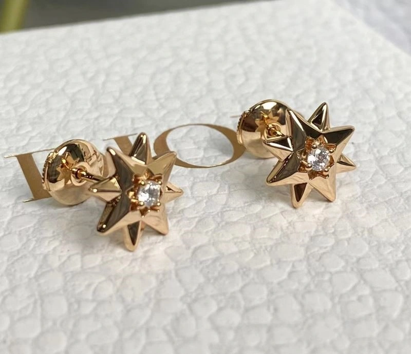 Christian Dior Earrings TopPick 233877