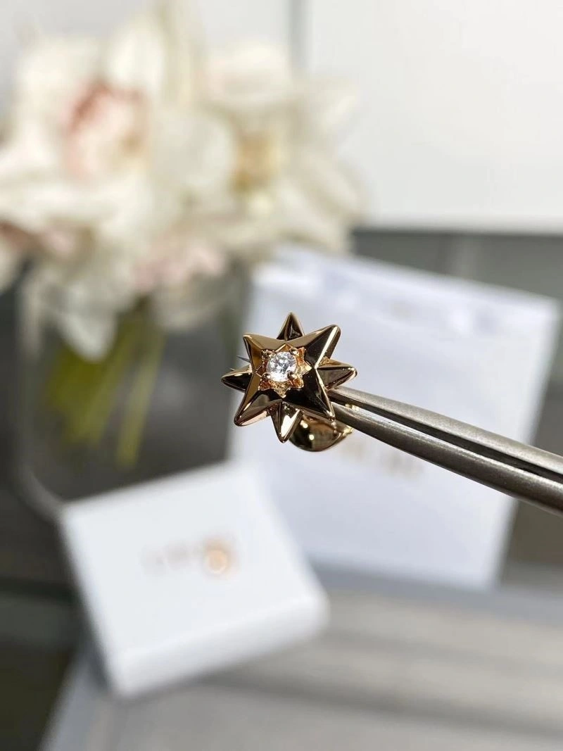 Christian Dior Earrings TopPick 233877