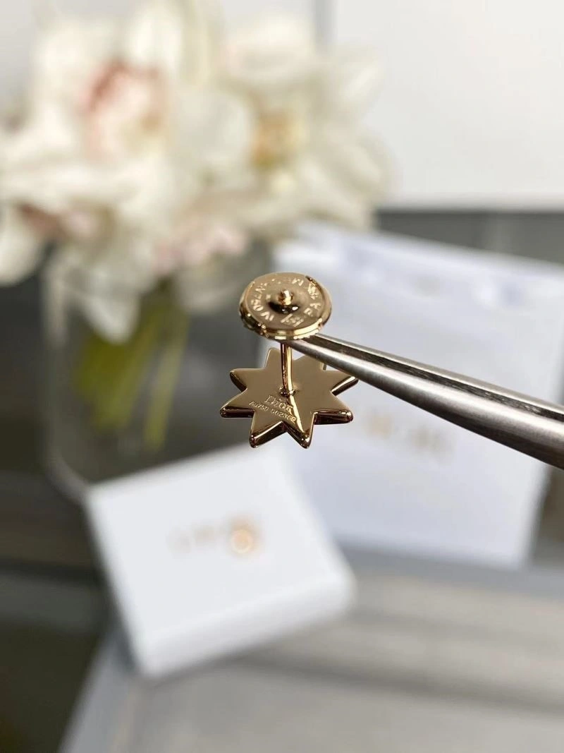 Christian Dior Earrings TopPick 233877