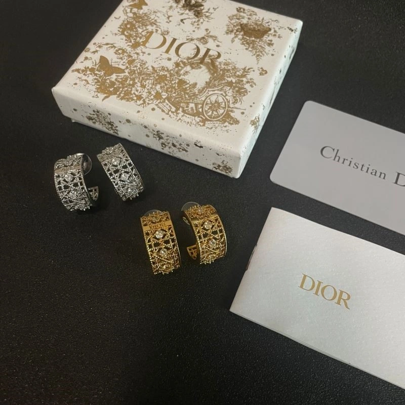 Tailored Christian Dior Earrings 233914