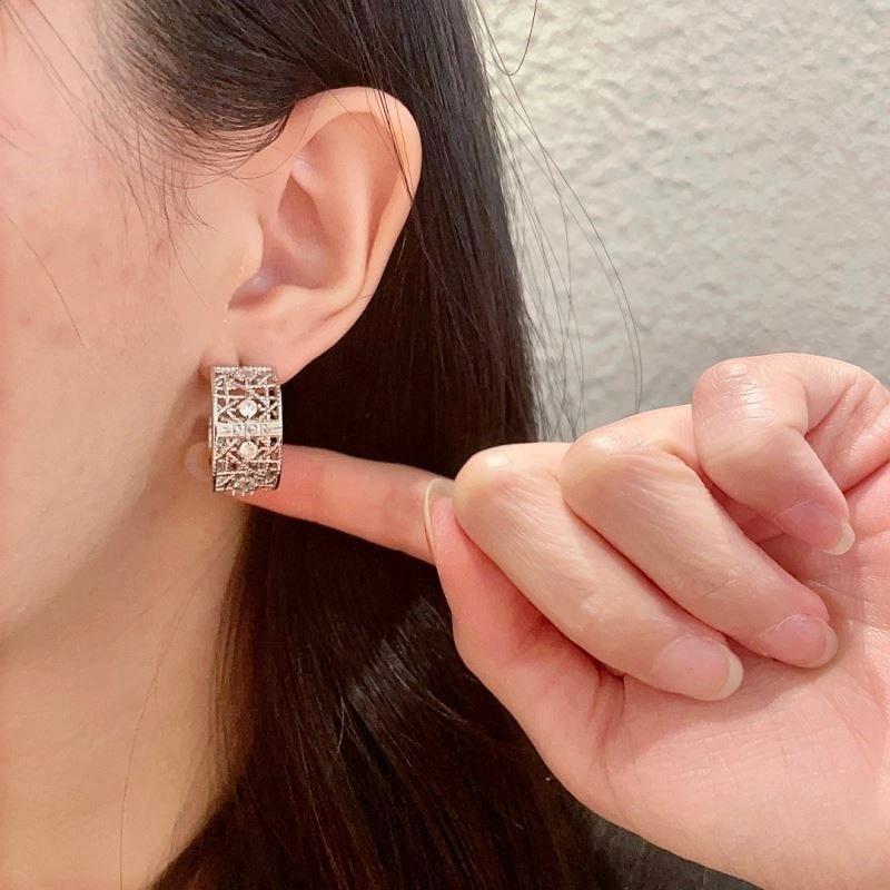 Tailored Christian Dior Earrings 233914