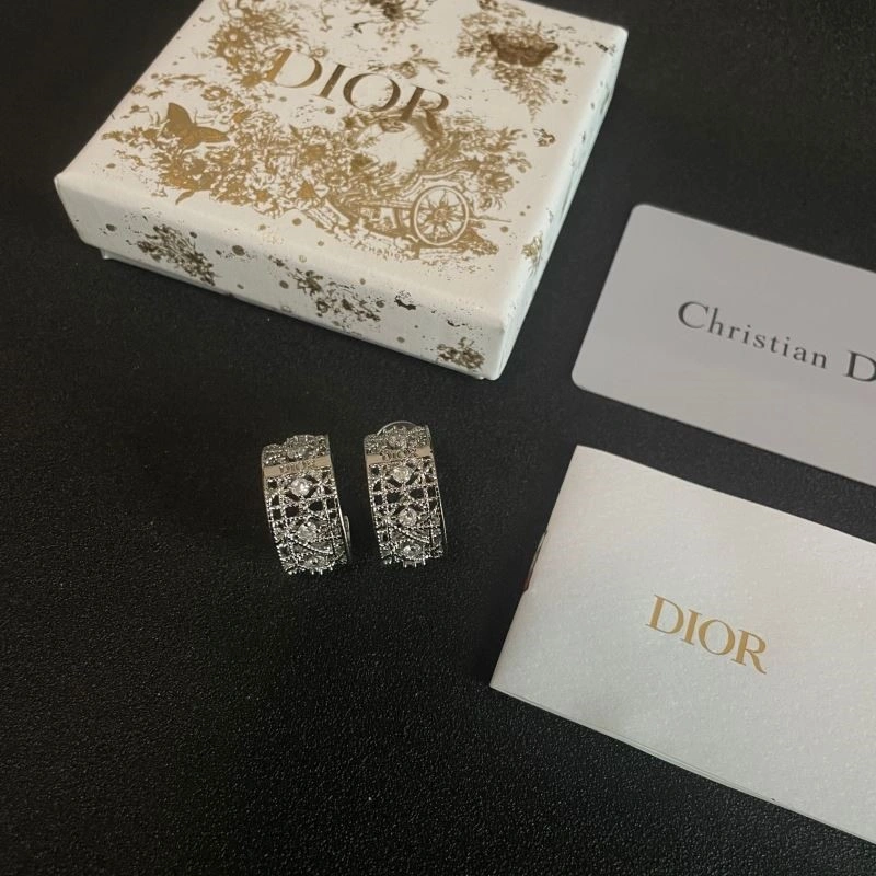 Tailored Christian Dior Earrings 233914
