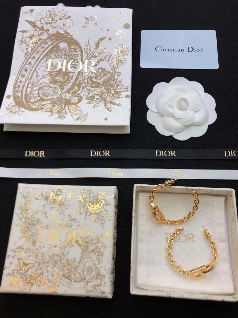 Durable Christian Dior Earrings 233851