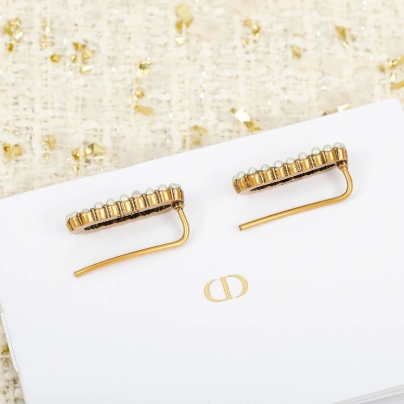 Neat Christian Dior Earrings 233900